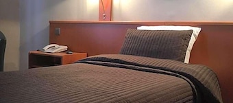Hotel The New Fox