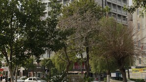 A multi-story building with a modern architectural design, surrounded by trees and a grassy area. - Mersin Oteli (Mersin)