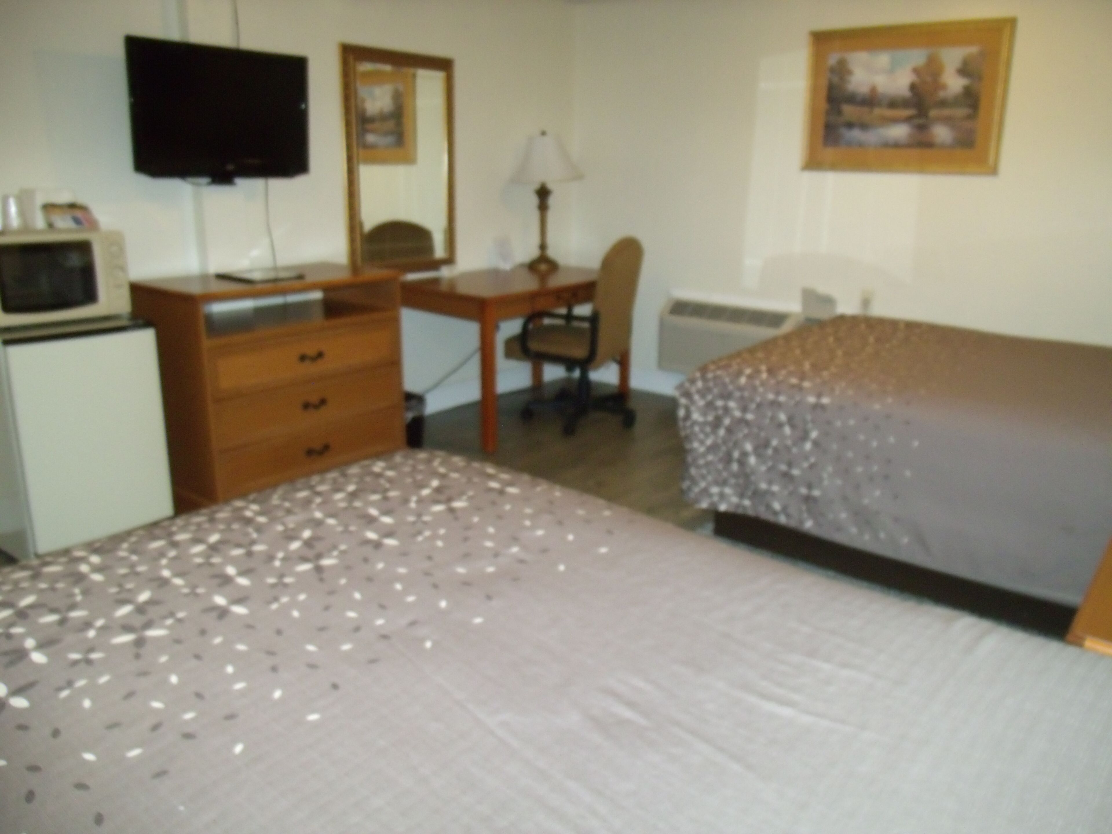 Una habitación de hotel con cama, escritorio, silla, televisor y radiador.