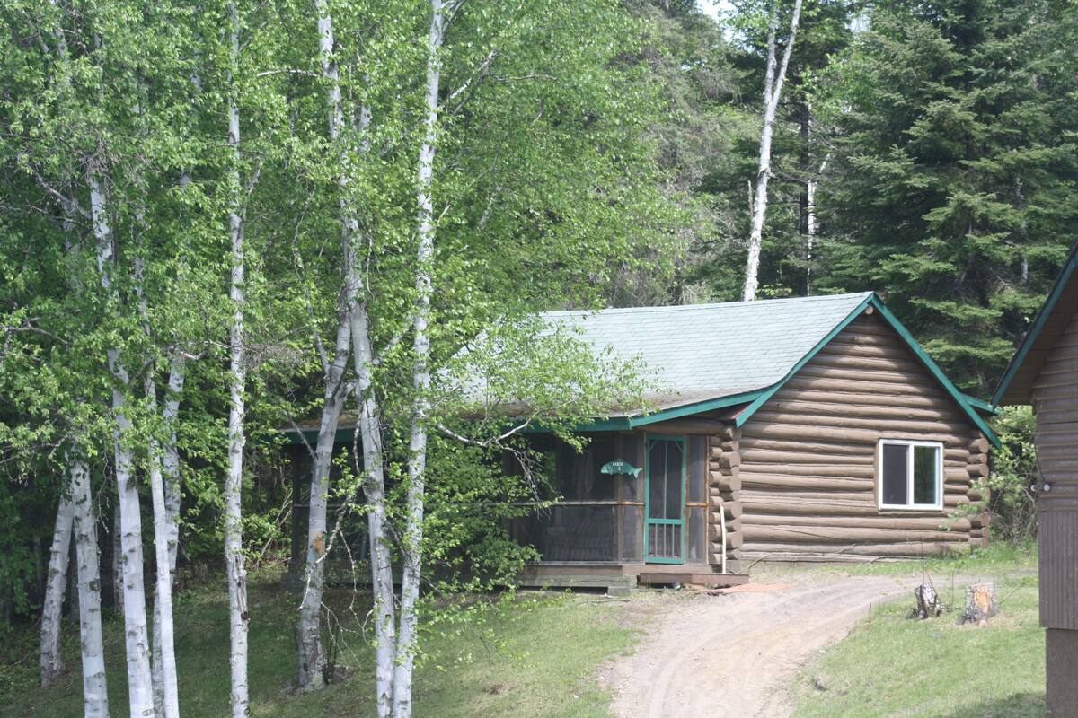 Une cabane en rondins avec une porte et une fenêtre vertes, entourée d’arbres.