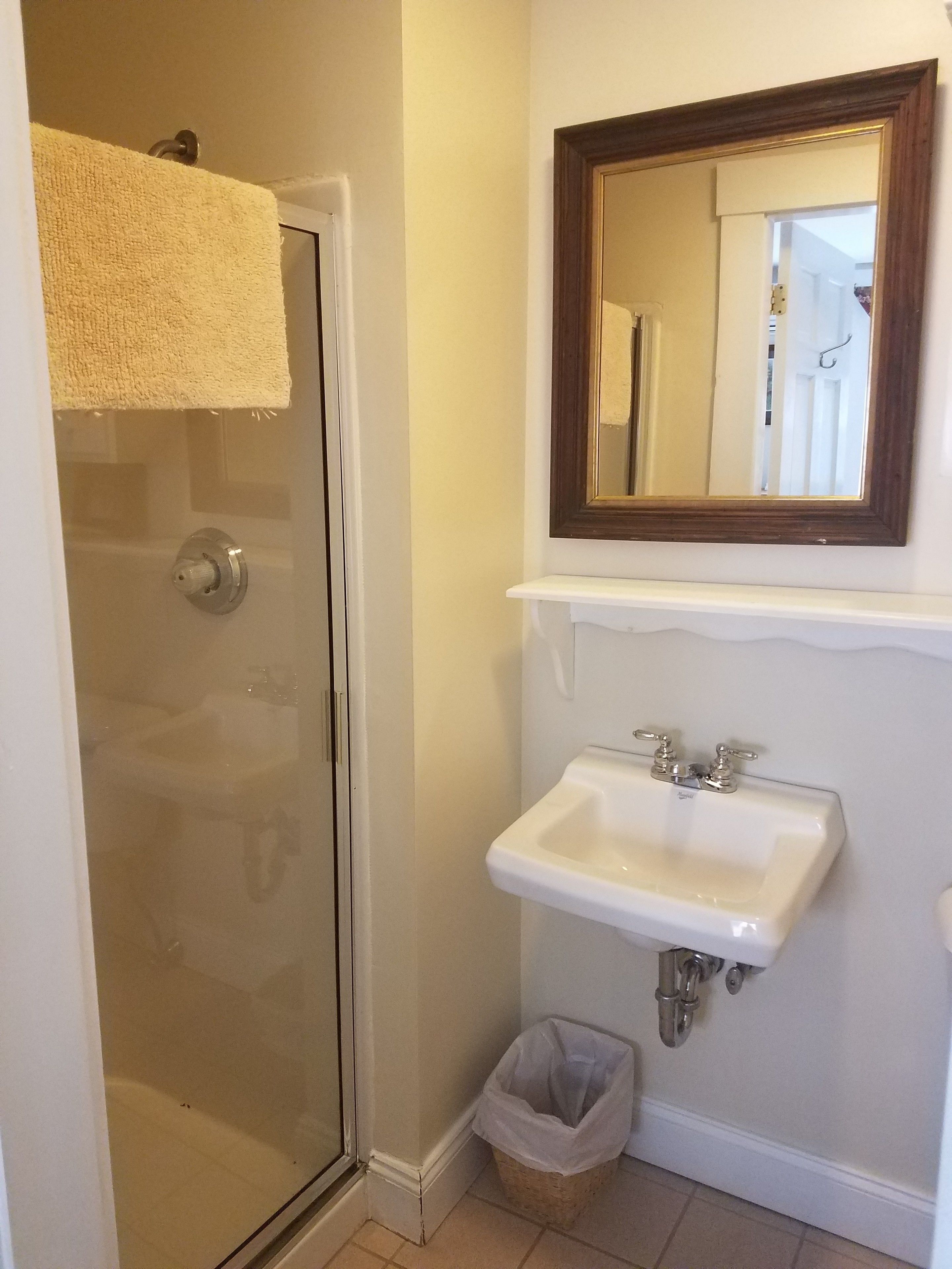 A bathroom with a glass shower door, a white sink with a mirror above it, and a trash bin.