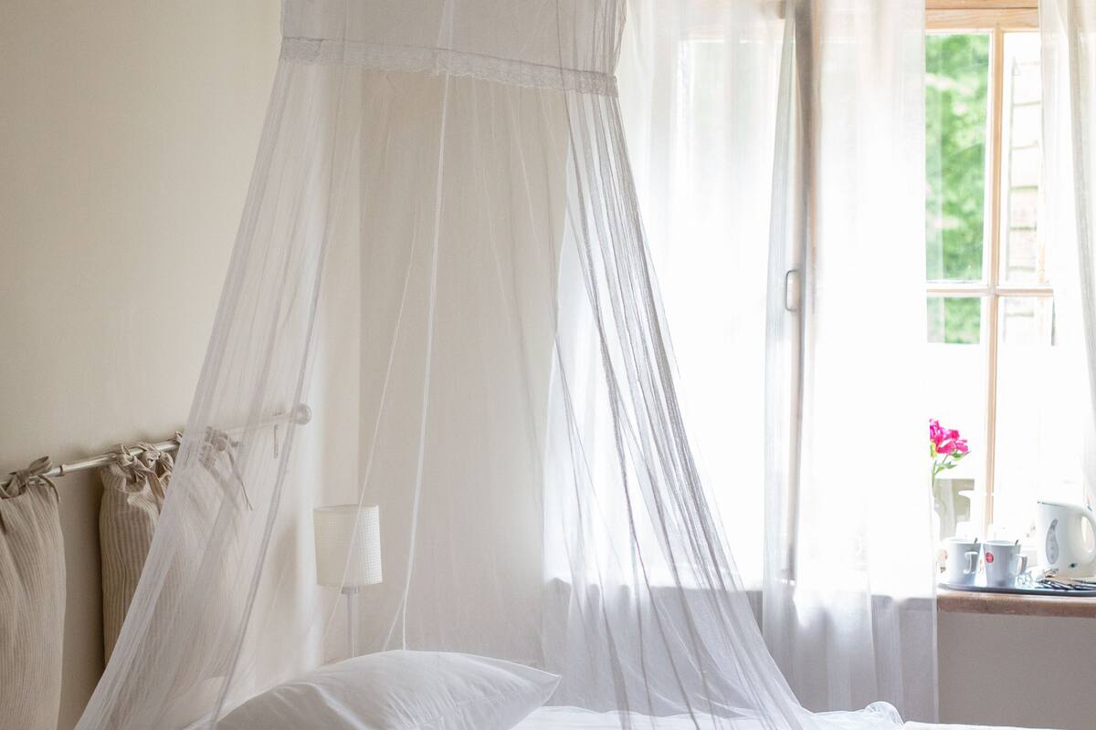 Standard Double or Twin Room | View from room