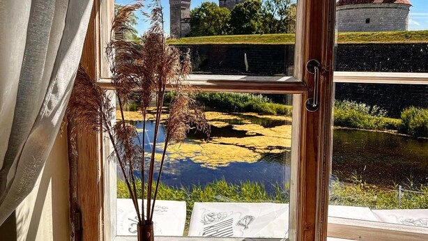 A window with a view of a castle, a pond, and a vase with dried plants.