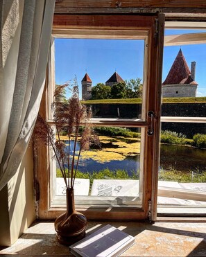 A window with a view of a castle, a pond, and a vase with dried plants.