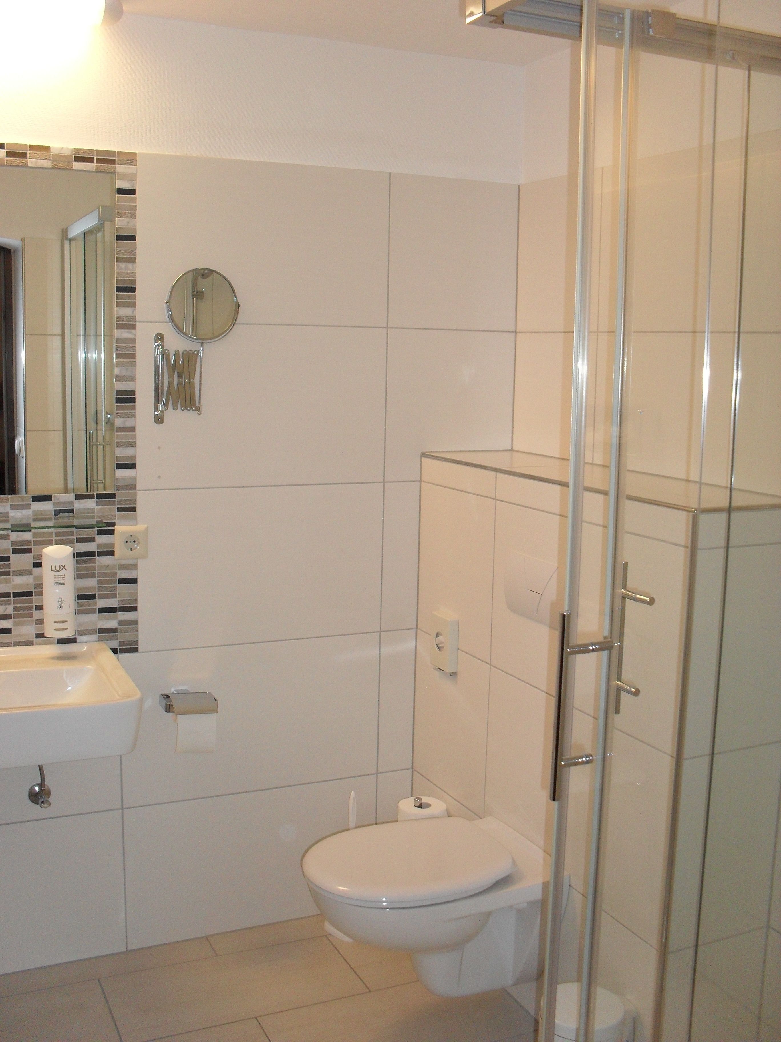 A modern bathroom with a glass shower enclosure, a white toilet, and a sink with a mirror above it.