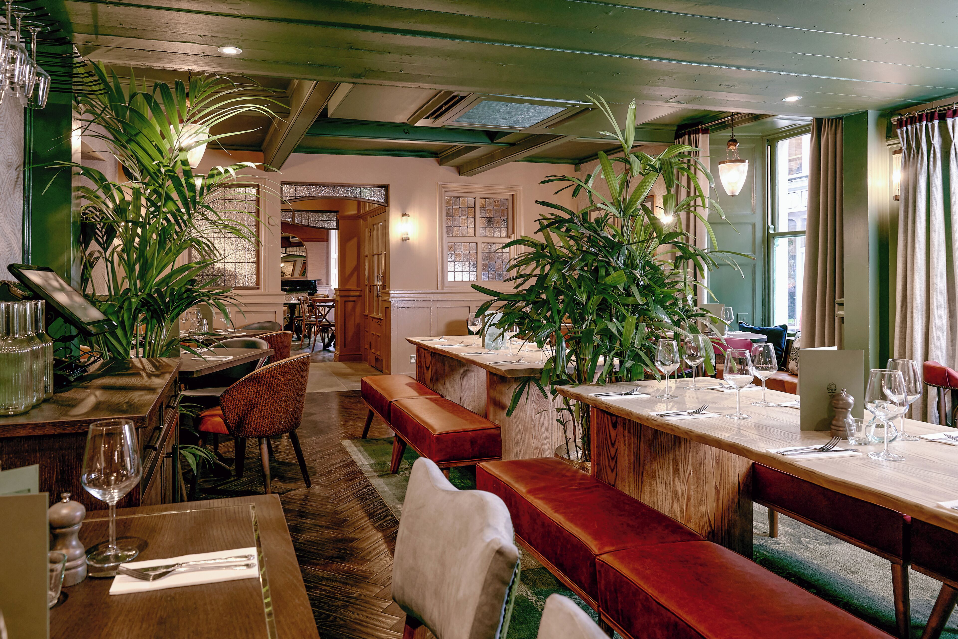 الأطباق المحلية