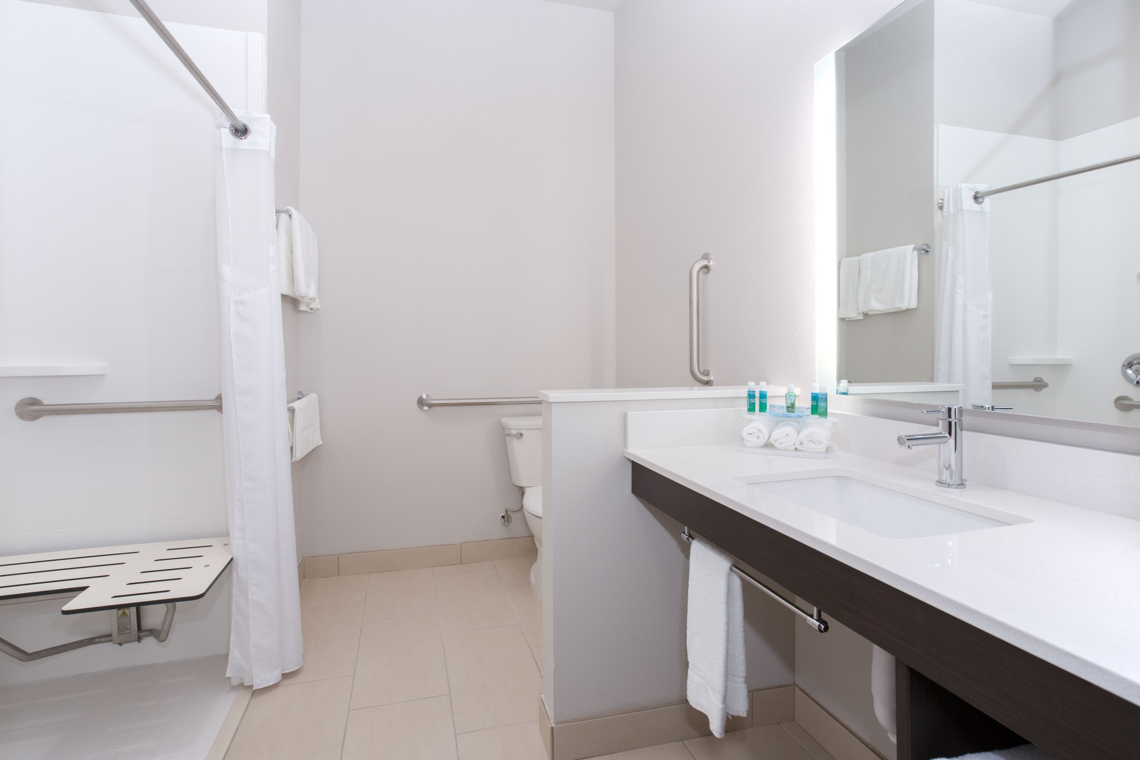 room, 1 king bed, accessible (communications, mobil, roll-in shower) | bathroom | free toiletries, hair dryer, towels