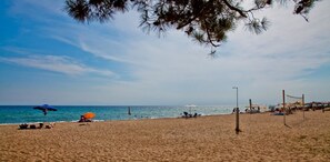 Pantai di sekitar, kursi berjemur, dan payung pantai