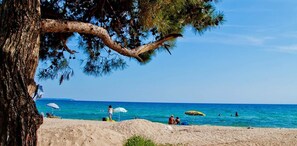 A beach with people, umbrellas, and a tree. - Melissanthi Hotel (Nea Propontida)