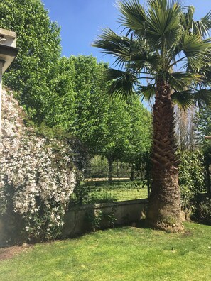View from room - Artilleiro Pension Residencial (Santiago de Compostela)