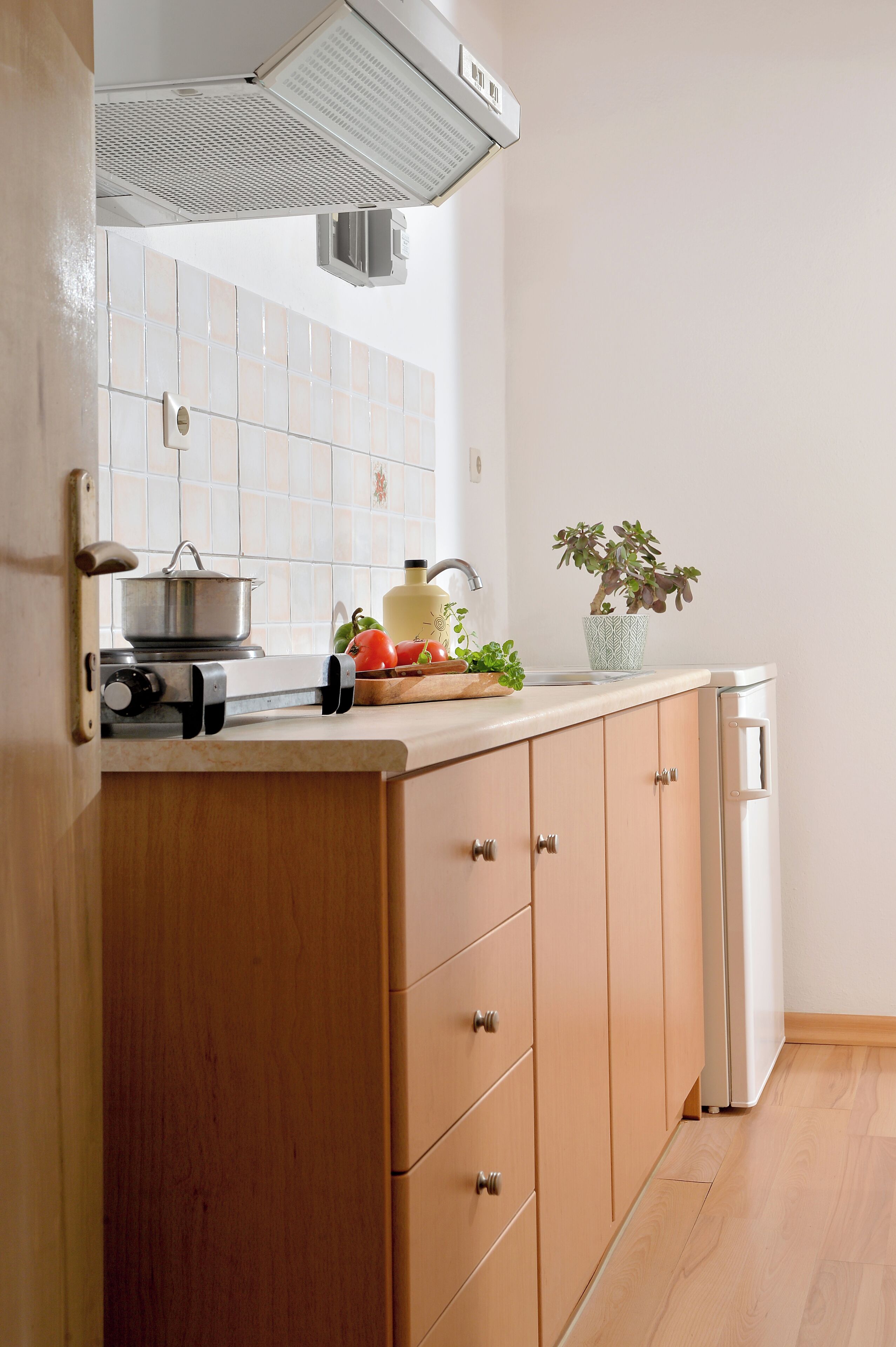 A kitchen with a stove, sink, cabinets, and a potted plant.