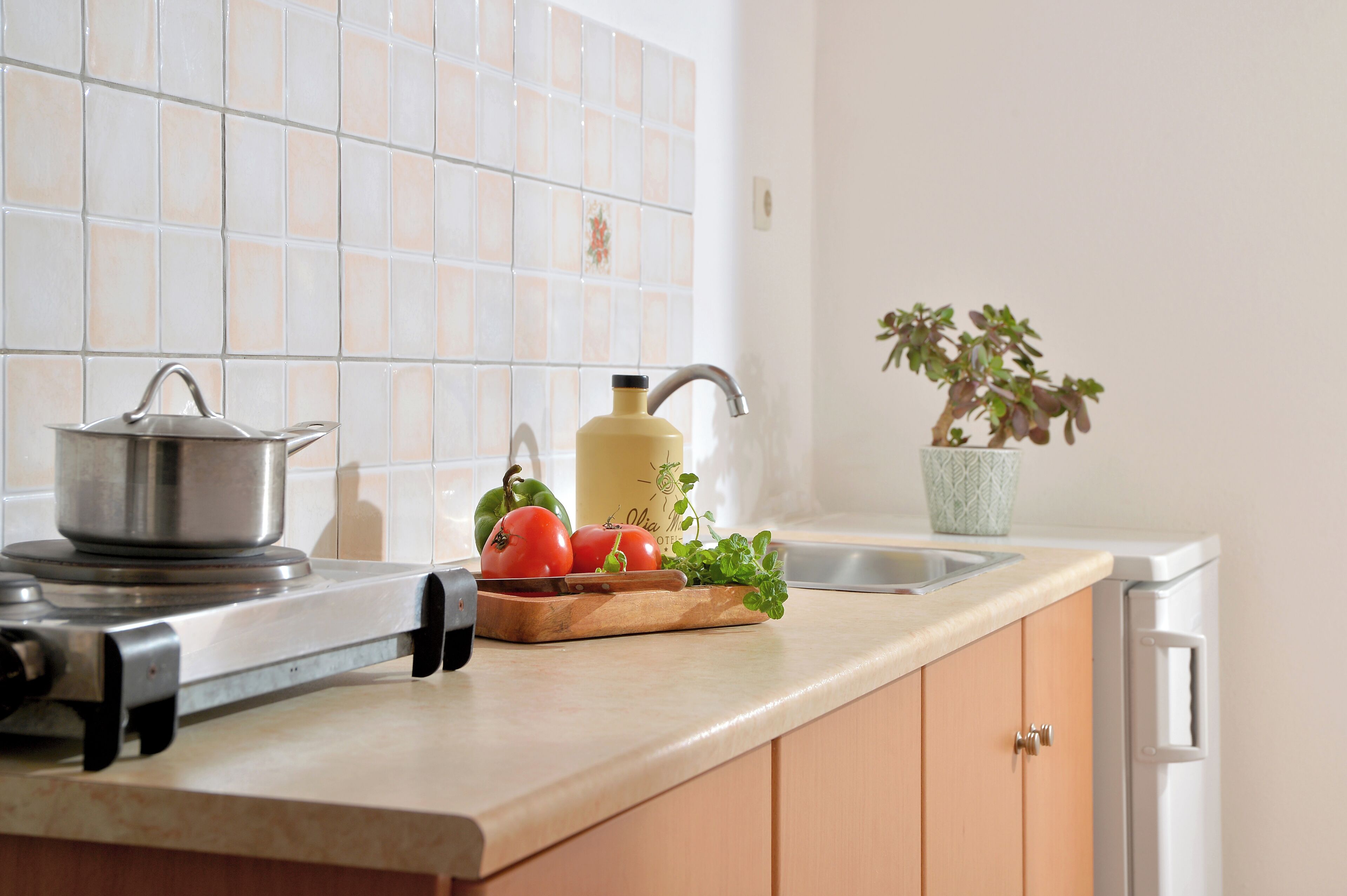 A kitchen with a stove, a sink, a potted plant, and fresh vegetables on the counter.