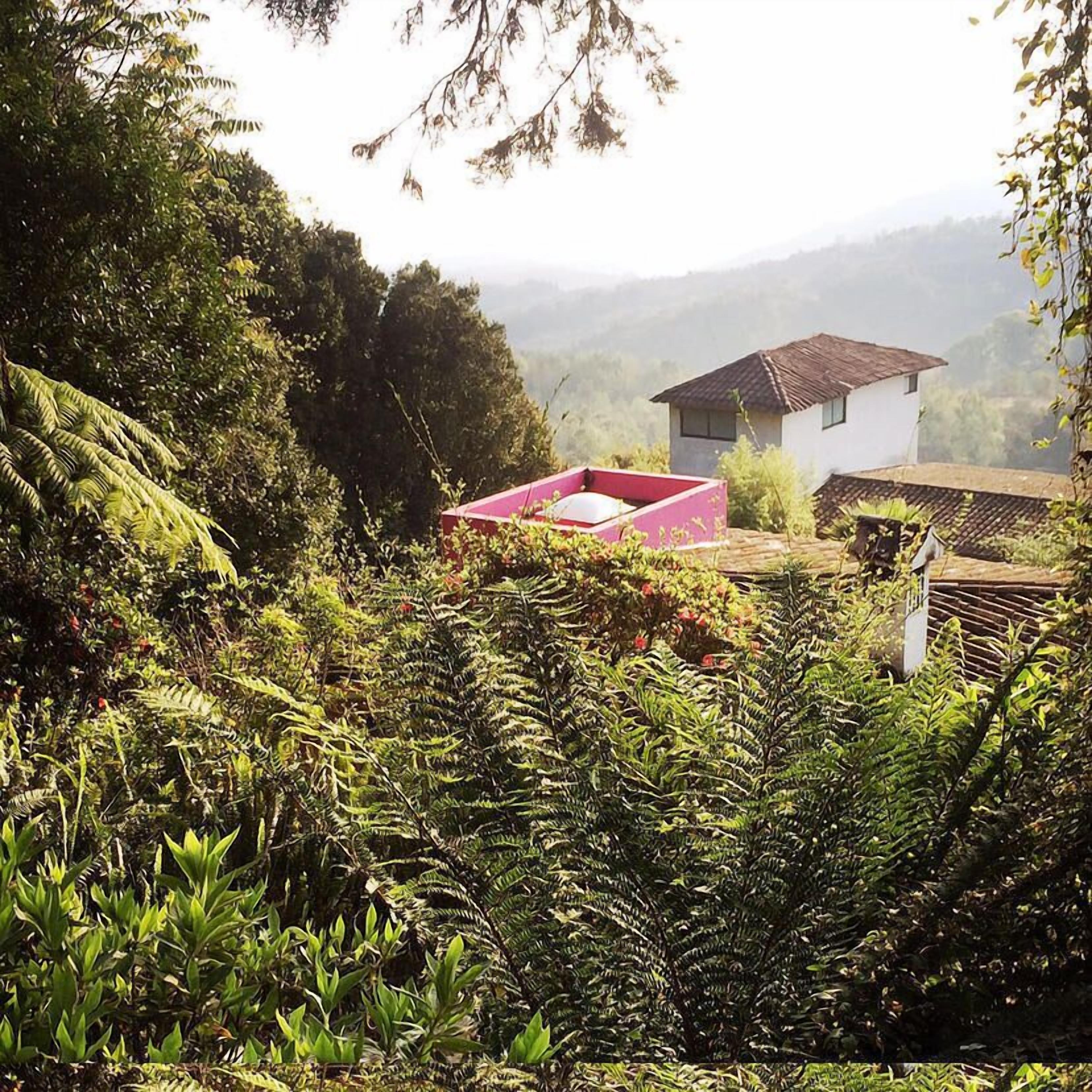 Vista desde la propiedad