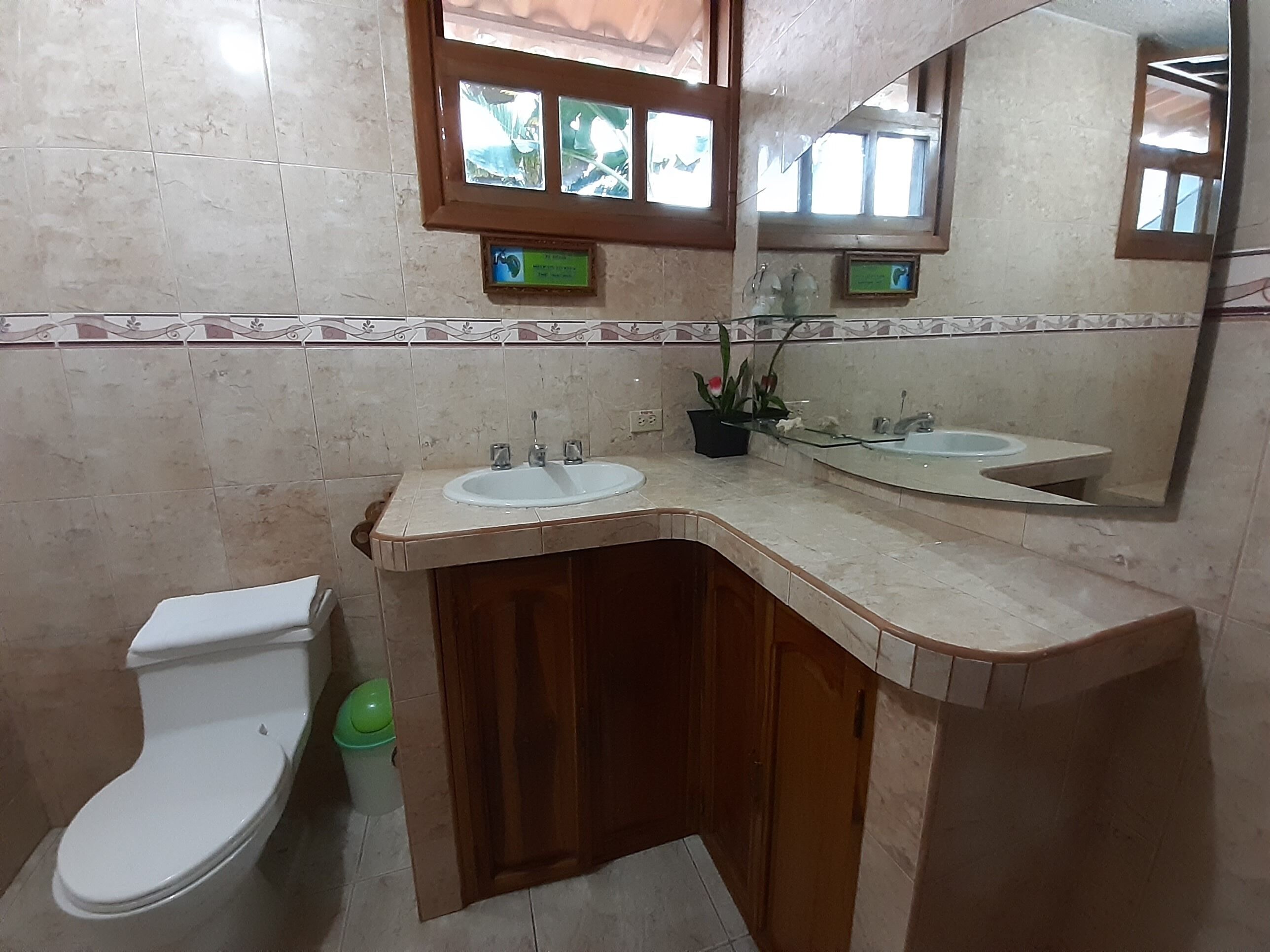 A bathroom with a toilet, two sinks, a mirror, and a potted plant.