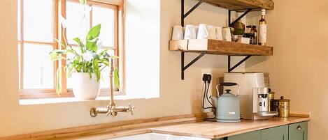 A kitchen with a window, a sink, a coffee maker, and a plant.