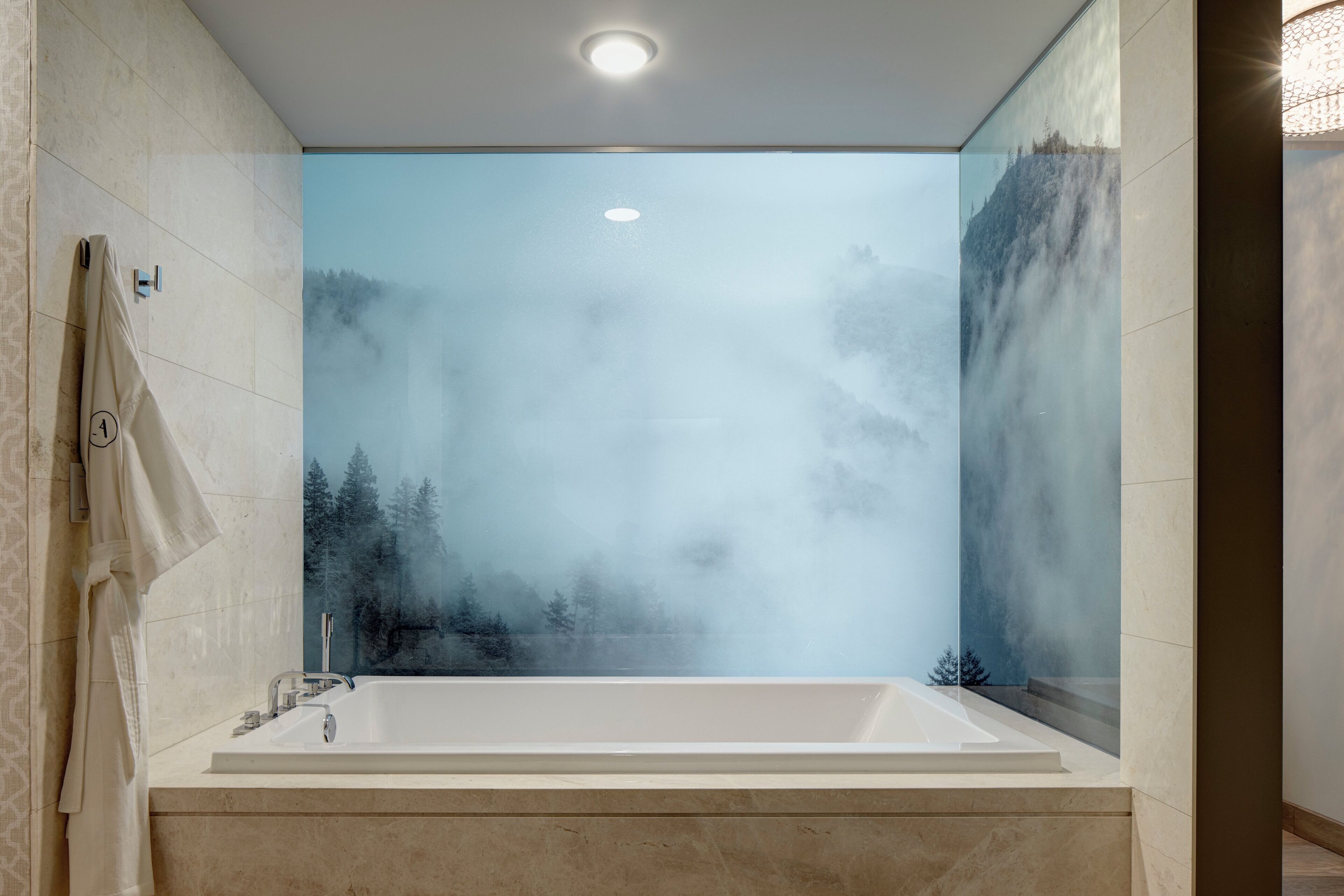 A modern bathroom with a large bathtub, a glass shower enclosure, and a view of a forest through the shower.