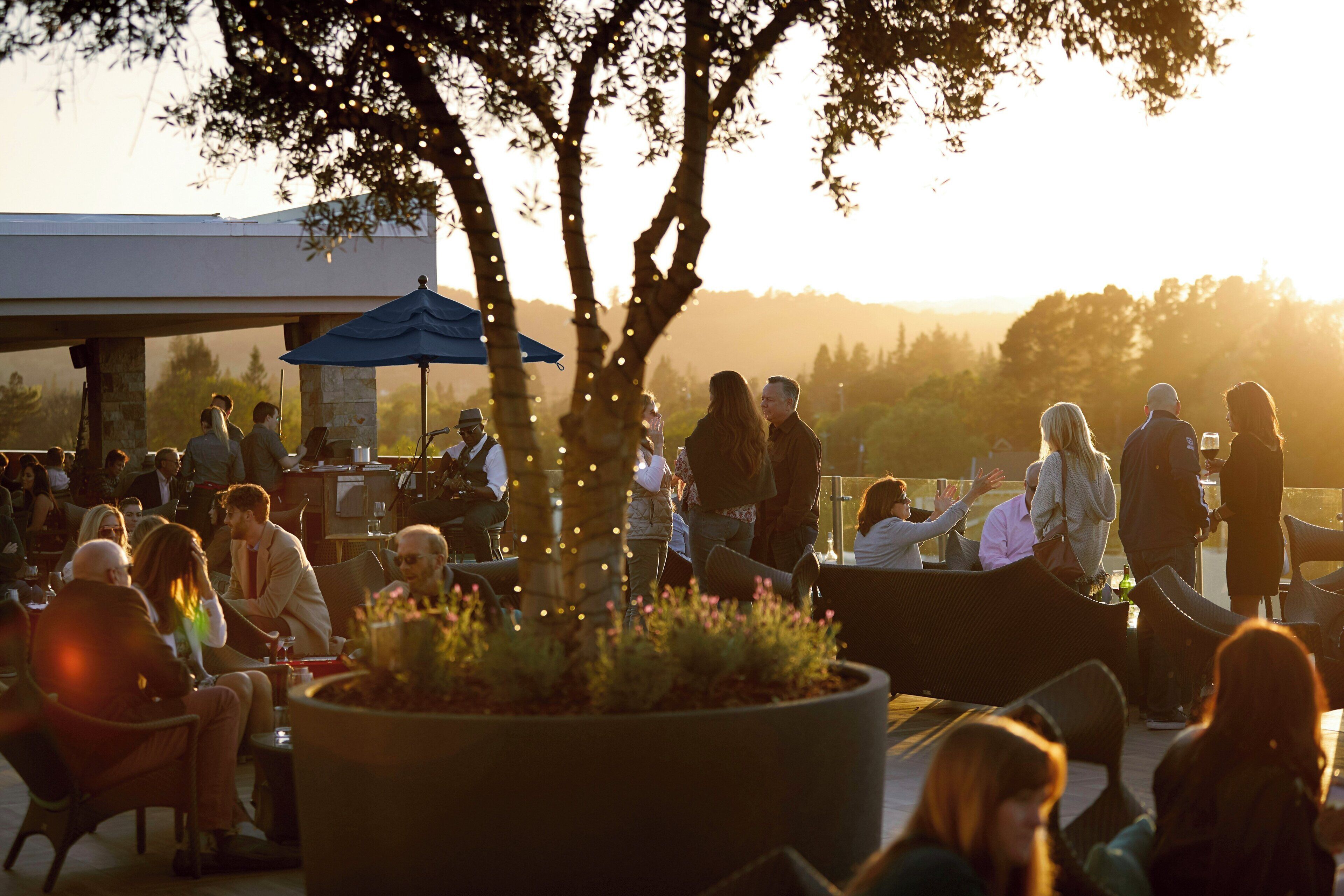 An outdoor seating area with tables and chairs, surrounded by trees and a large planter with plants.
