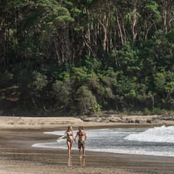 Una spiaggia nelle vicinanze, surf, pesca