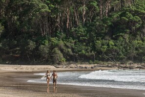 Beach nearby, surfing, fishing