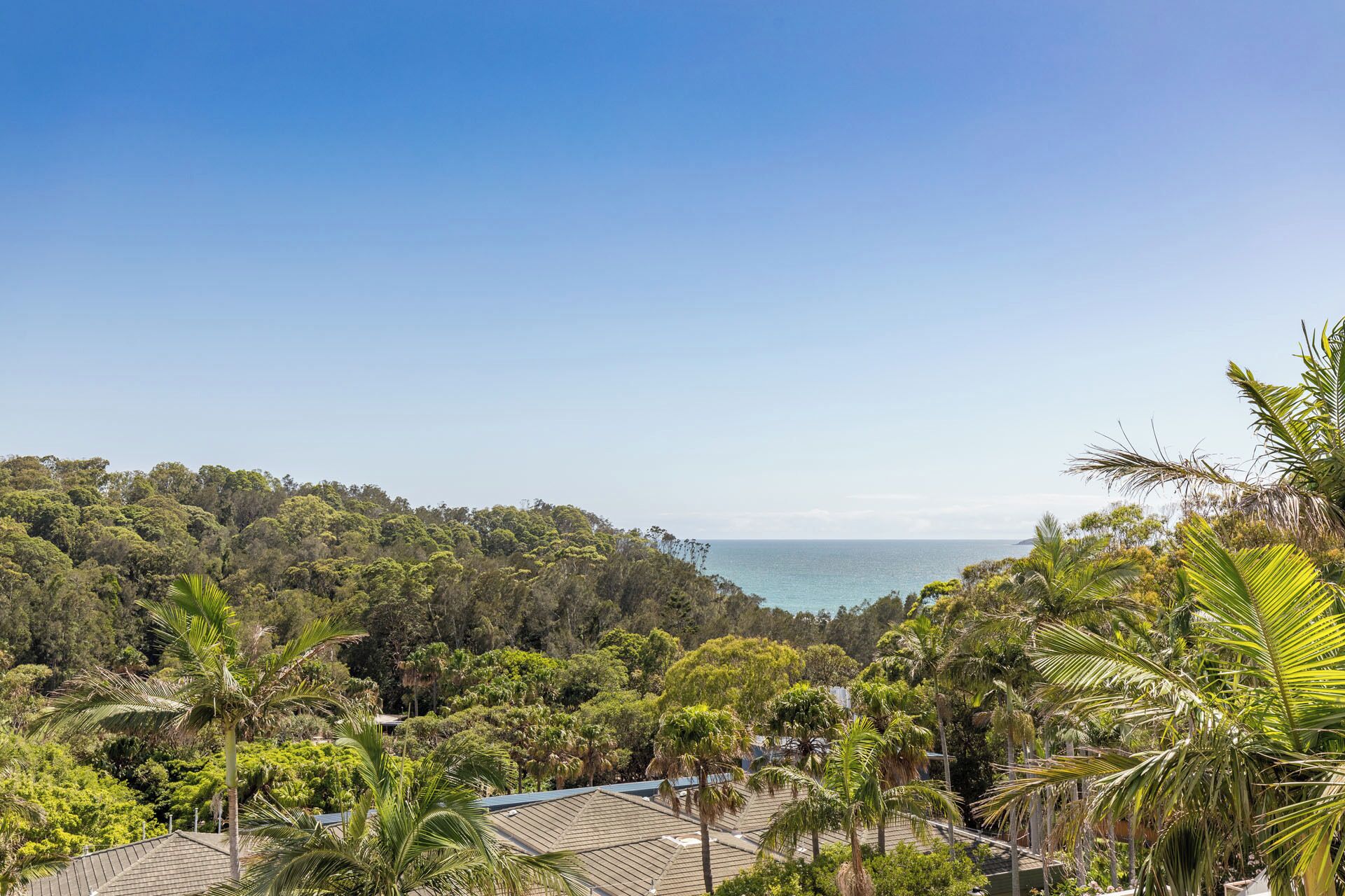 A coastal view with dense greenery and a clear sky.