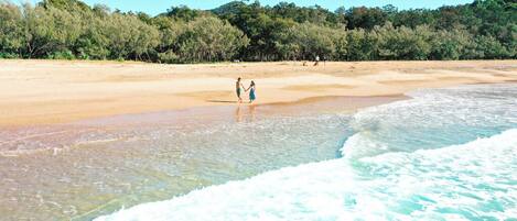 A beach with two people holding hands, a sandy shore, and a forested background.