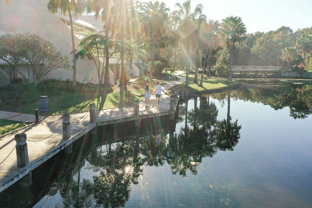 A serene lakeside walkway with a wooden deck, surrounded by lush greenery and palm trees.