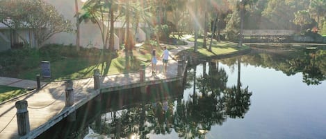 Un sendero tranquilo junto al lago con una pasarela de madera, rodeado de exuberante vegetación y palmeras.