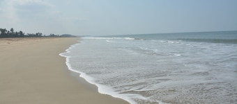 Betelnut Inn Mrkt by SPLENOR