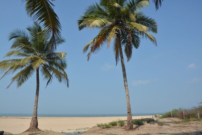 Betelnut Inn Mrkt by SPLENOR