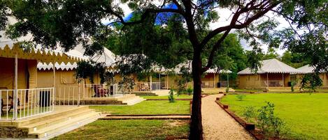 A courtyard with a tree, a pathway, and several buildings with a uniform architectural style.