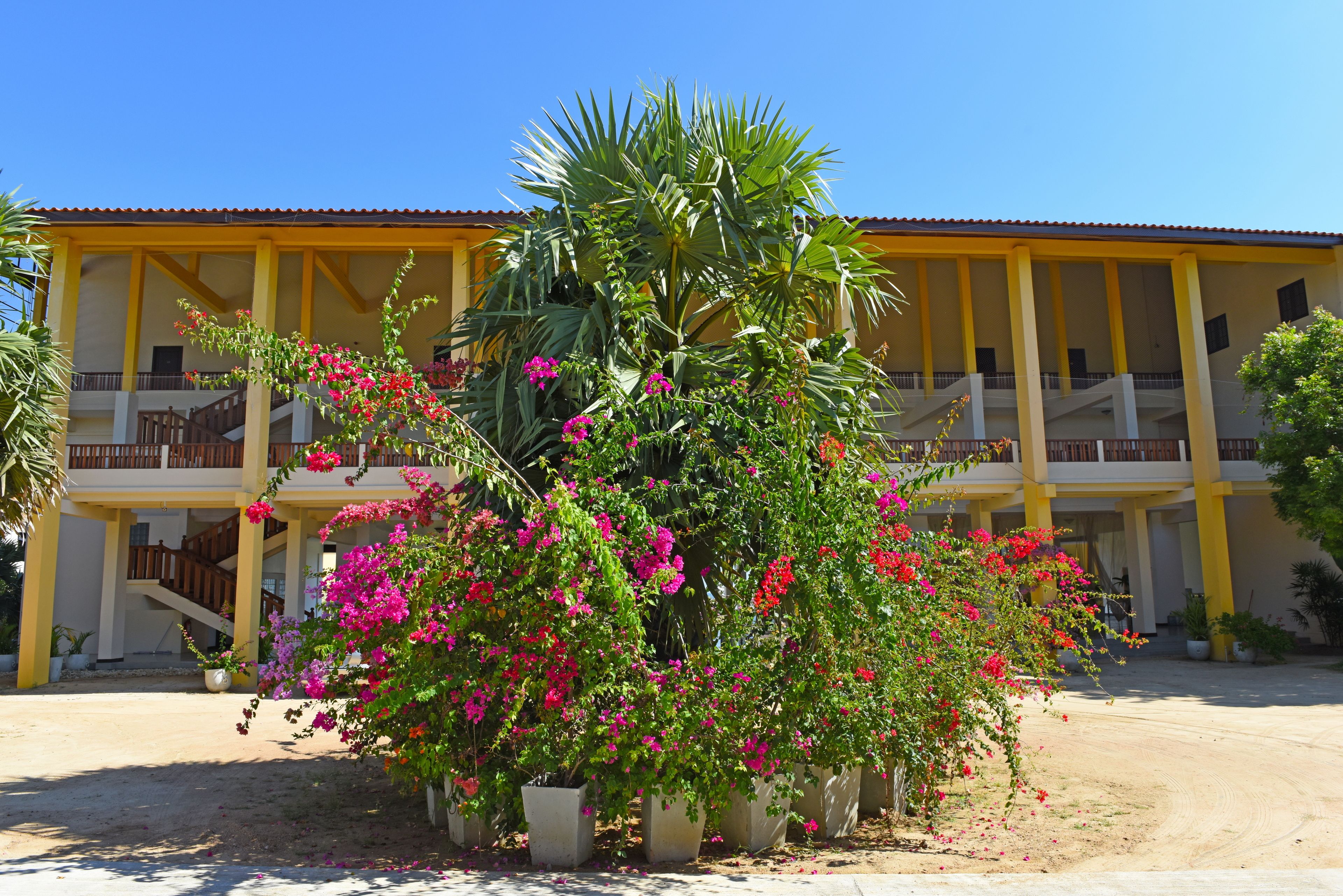 Un edificio con fachada amarilla, varios balcones y un jardín central con plantas en flor.