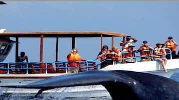 Boating