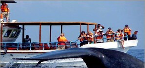 Boating