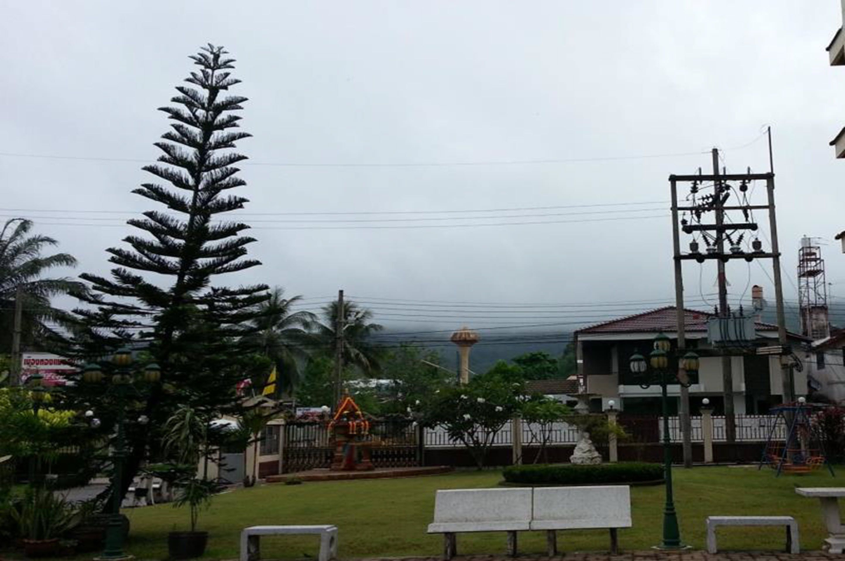 A residential area with a large tree, a playground, and a utility pole.