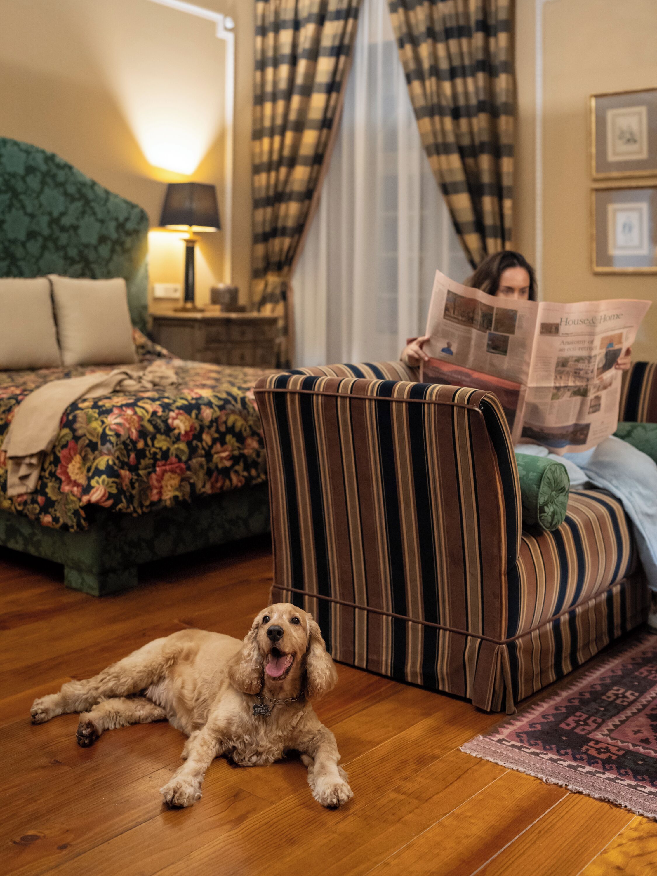 Una habitación con una cama, un sillón a rayas, un perro y una persona leyendo un periódico.