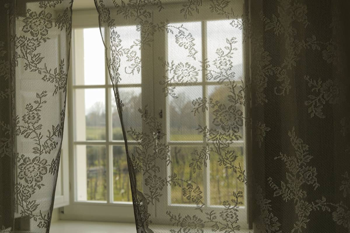 A window with a view of a garden, covered by a lace curtain.