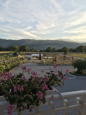 View from property - Ca' del Conte (Padula)