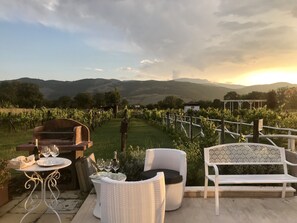 A patio with outdoor seating, a grill, and a view of vineyards and mountains.