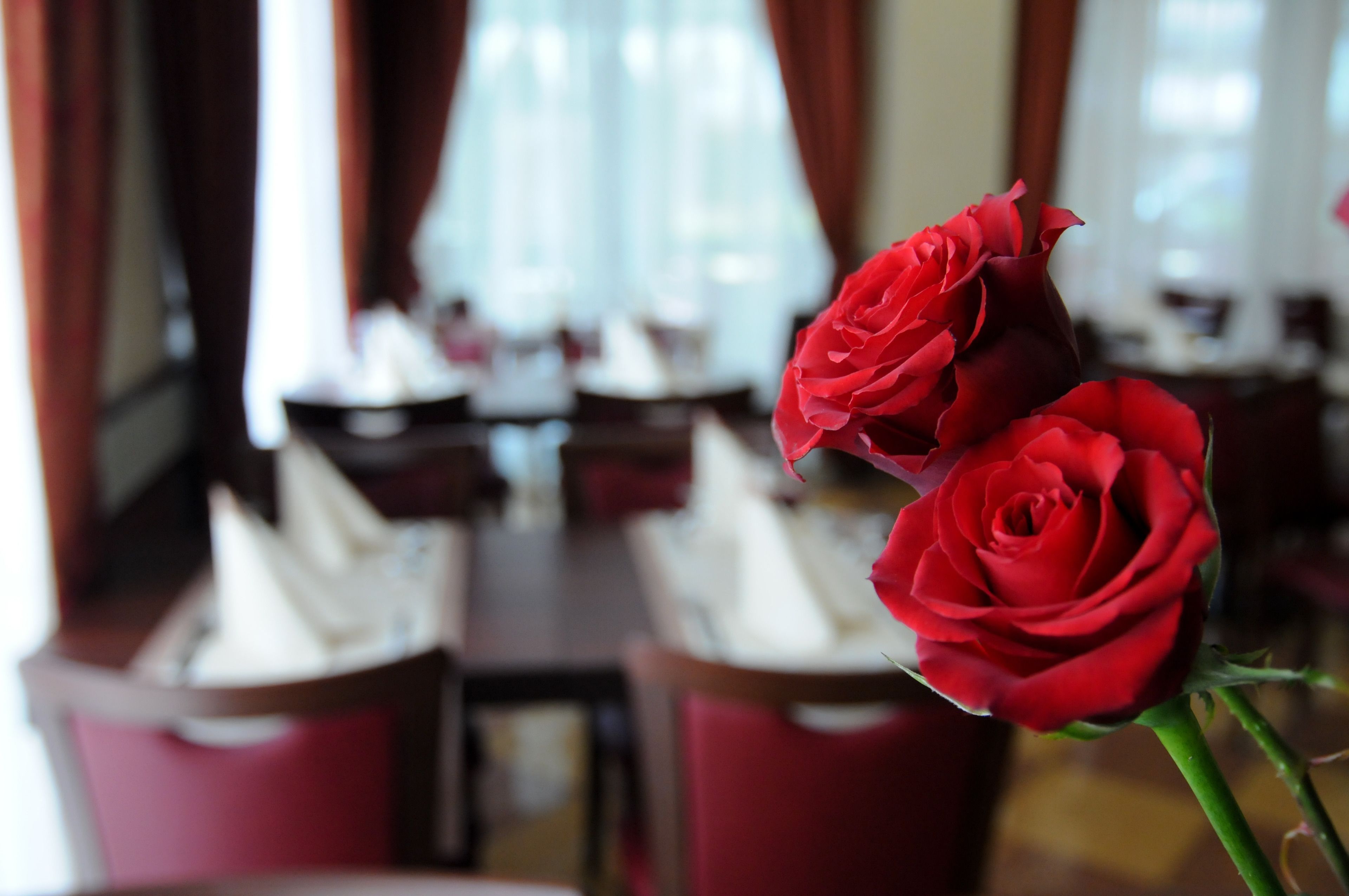 Sarapan bufet setiap hari (EUR 5 seorang) 