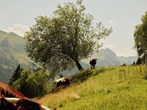 A mountainous landscape with a tree and cows grazing. - Wiesergut (Saalbach-Hinterglemm)