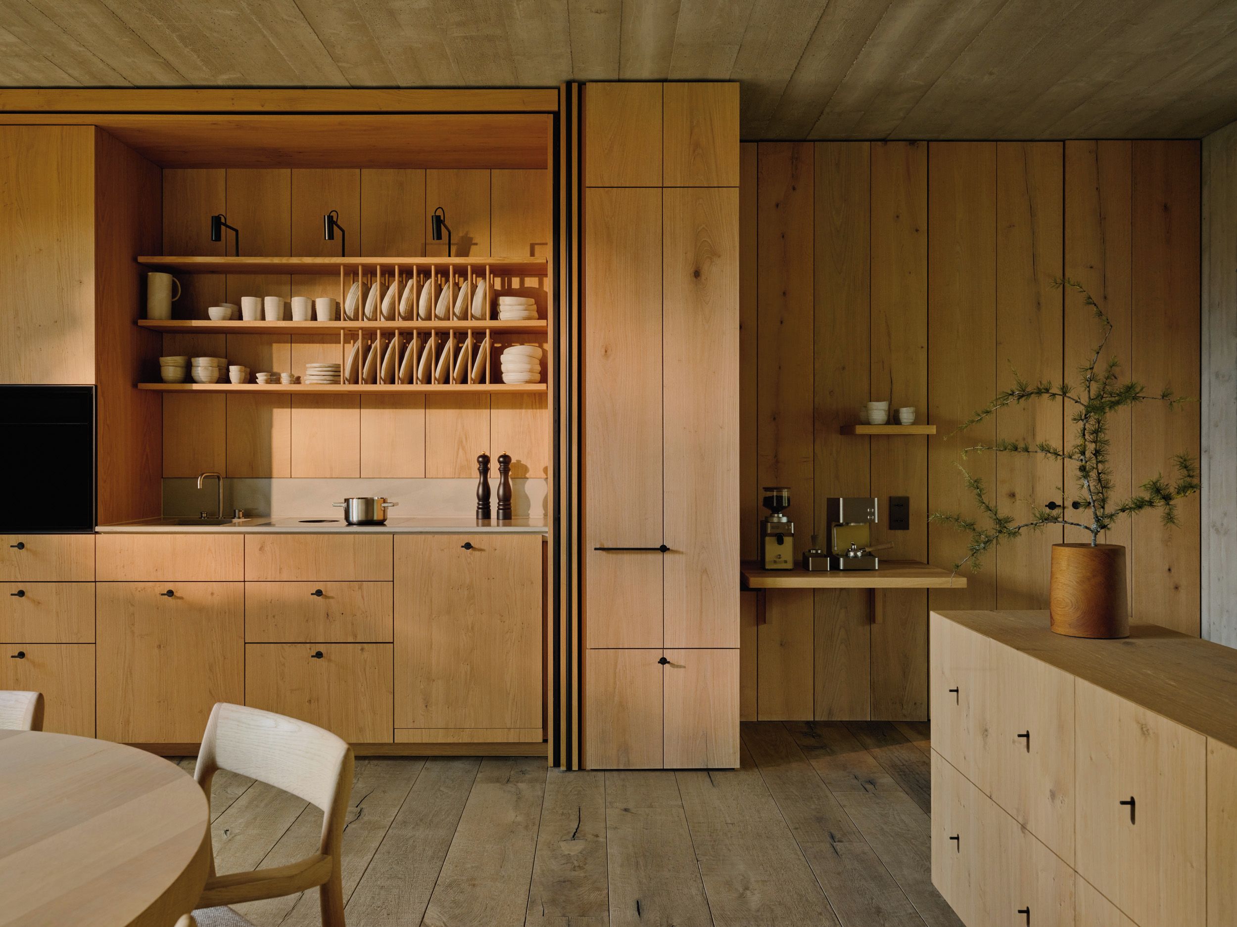 Una cocina moderna con armarios de madera, una isla central y una planta en maceta.