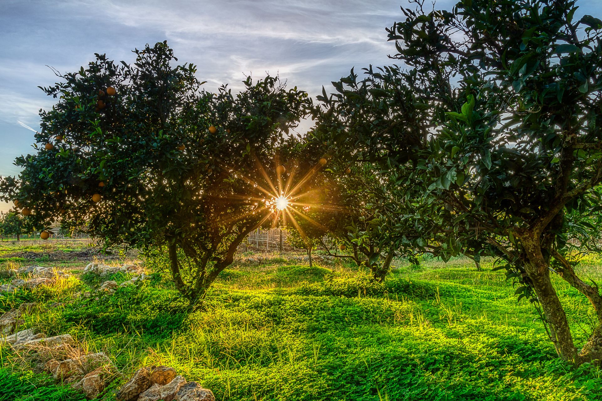 panoramic suite, 2 bedrooms (turmsuite) | view from room