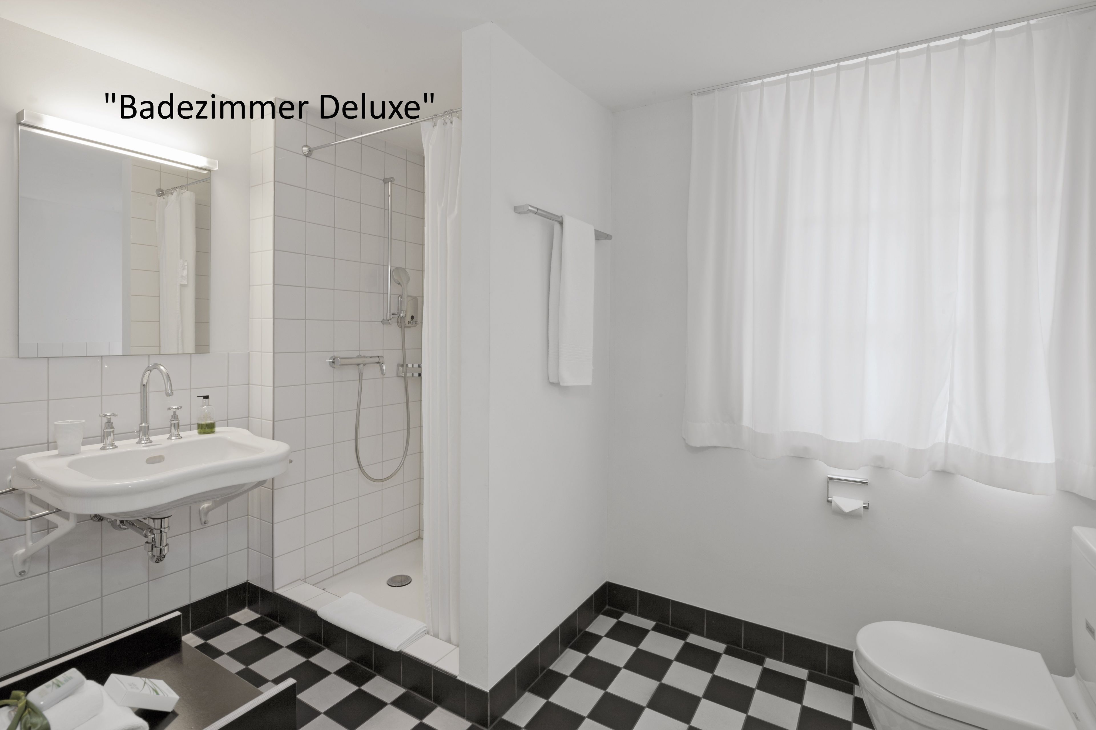 deluxe double room | bathroom | shower, free toiletries, hair dryer, bathrobes