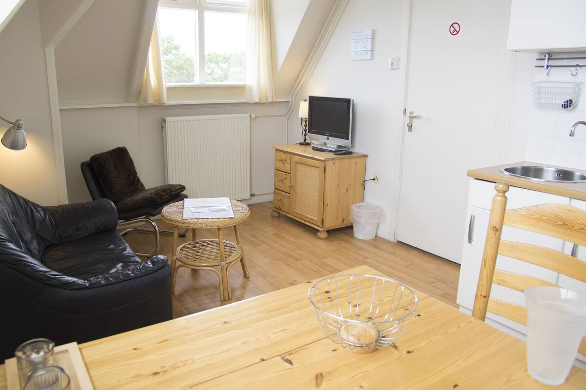 A compact living space with a sofa, a small round table, a wooden cabinet with a television, a kitchen area with a sink, and a window with curtains.
