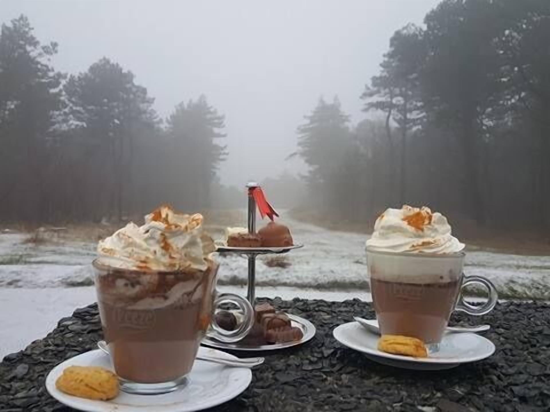 Two drinks with whipped cream and a small flag, a plate with a pastry, and a plate with a cookie on a table outdoors.
