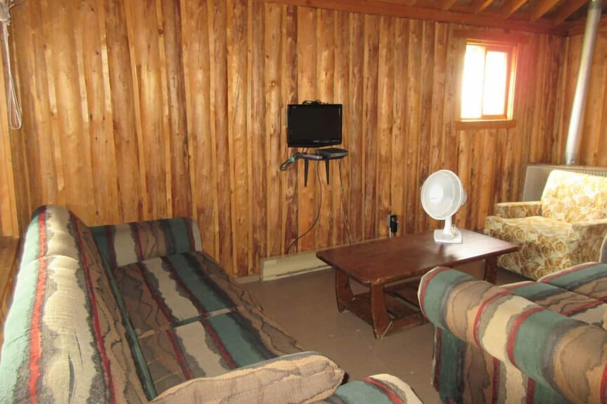 Um quarto com painéis de madeira, um sofá, uma cadeira, uma mesinha e uma televisão fixada na parede.