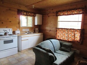 Großer Kühlschrank, Mikrowelle, Ofen, Herdplatte