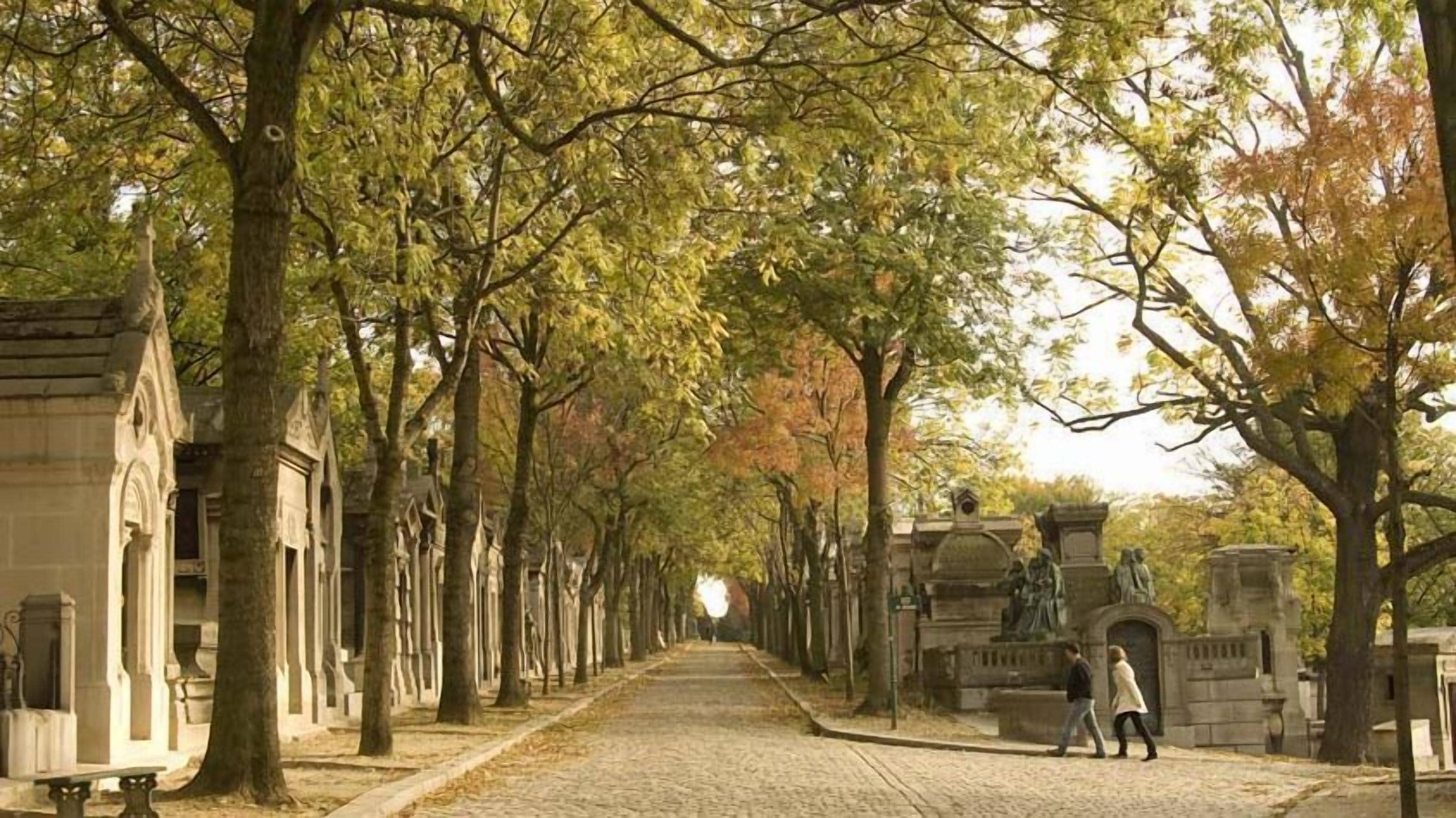 A cobblestone pathway lined with trees and stone structures, likely part of a historical or cultural site.