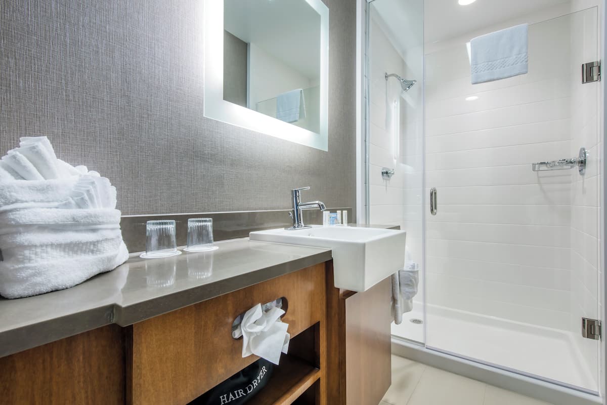 combined shower/bathtub, free toiletries, hair dryer, towels