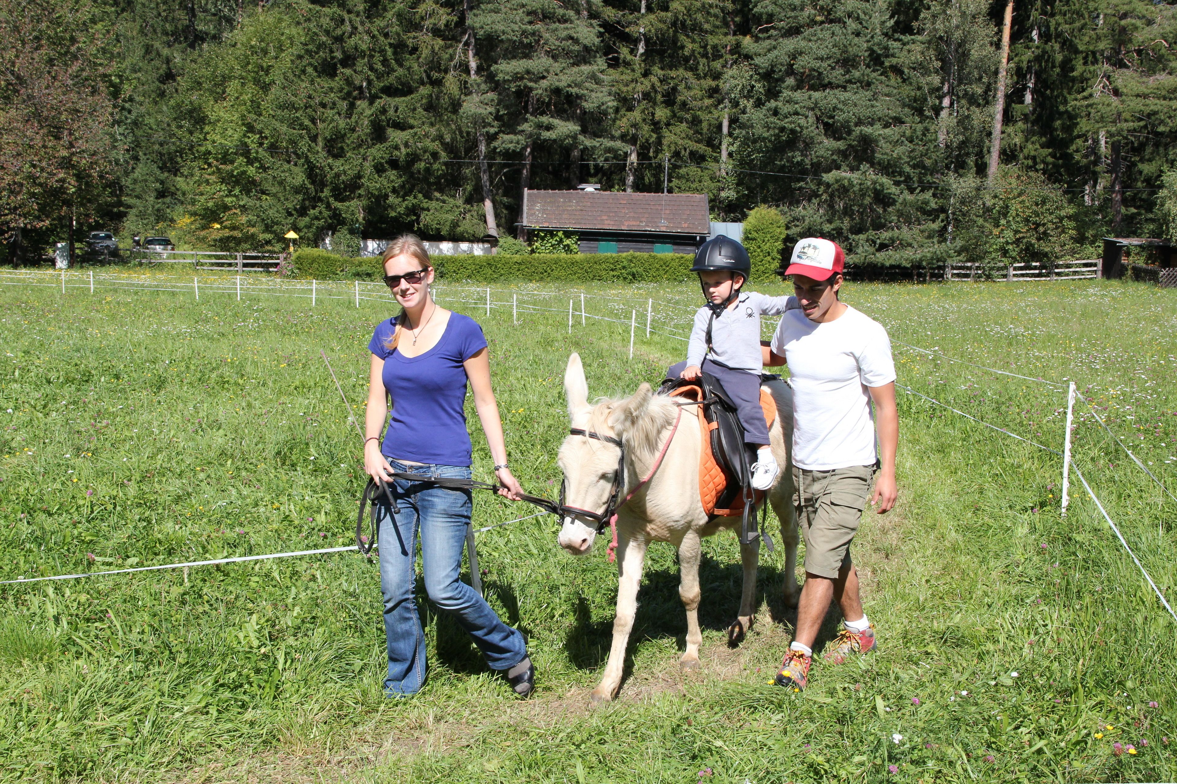 A person leading a donkey in a grassy field with a fence in the background.